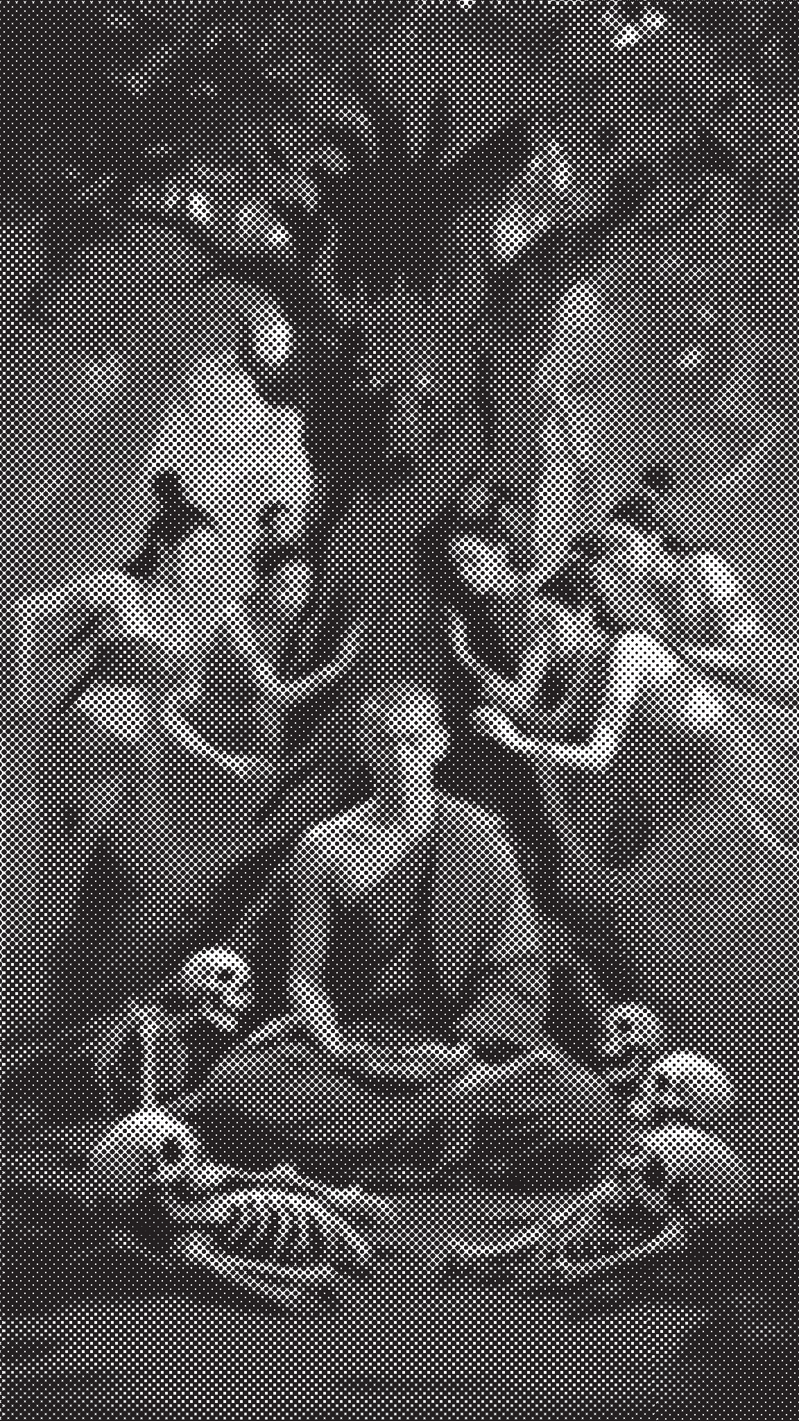 庄严净土分第十