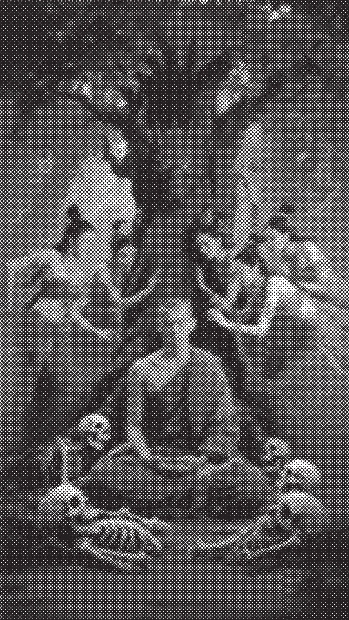 庄严净土分第十